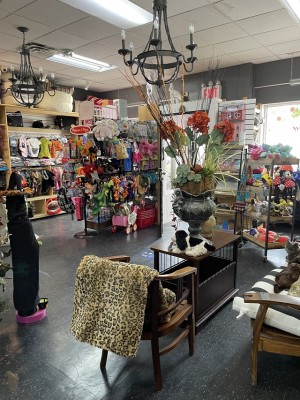 Local Pet Grooming & Boarding Business for Sale