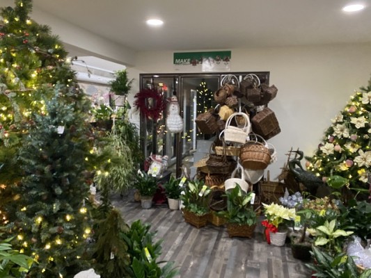 Massive Florist for Sale in CT