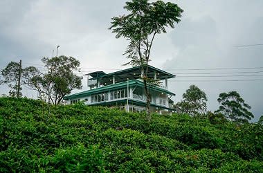 Investment Land at Nuweraeliya Sri Lanka