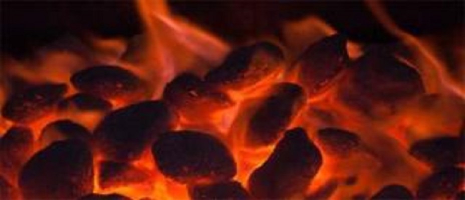 Charcoal Distribution Company for Sale in Nassau