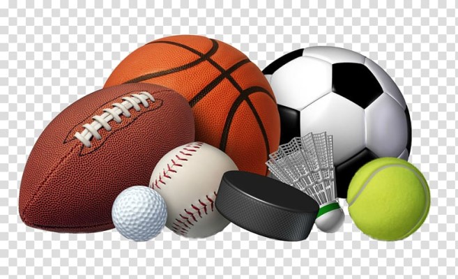 This is a Branded Online Wholesale Sporting Goods