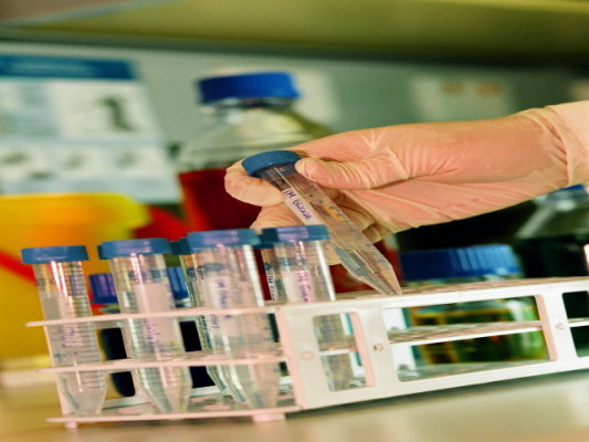 Environmental Testing