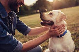 Profitable Pet Supply Store (Franchise)