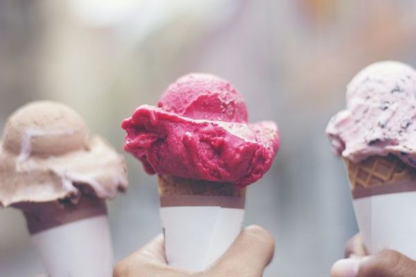 Ice Cream Truck Business for Coastal Florida