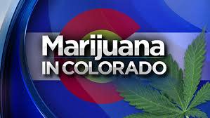 Recreational Dispensary and Attached Grow
