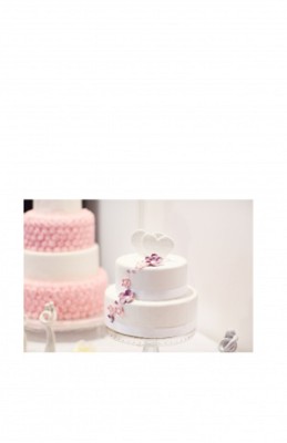 Retail Bakery and Specialty Custom Cookies, Cakes