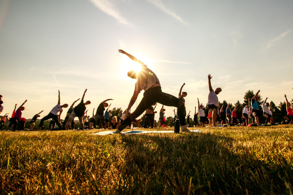 Health, Fitness, And Well-Being Provider
