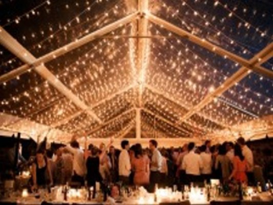 Profitable Lighting and Design Company -- Virginia