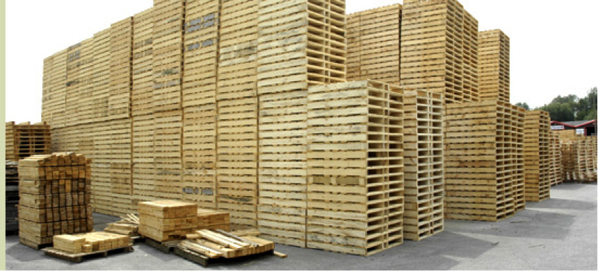Pallet and Fencing Business in Cork for Sale