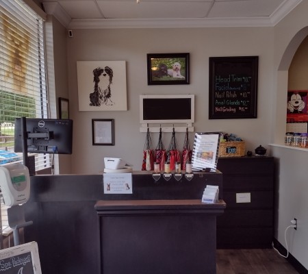 Local NC Dog Grooming Salon