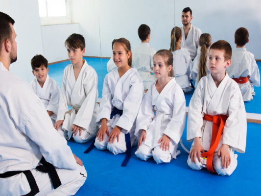 Established Martial Arts School