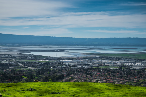 Santa Clara EA Firm for Sale