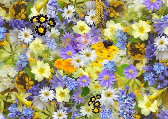 Popular Southwest Riverside County Flower & Gift Shop