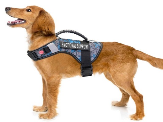 Telehealth Platform for Pet Owners