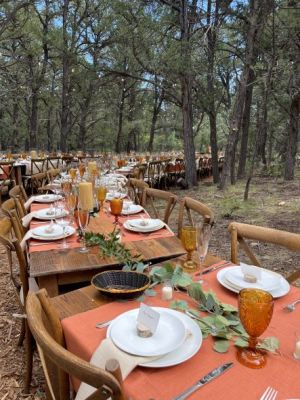 Make Your Dreams Come True w/Settings Event Rental