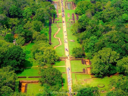 150 Acres Mix Plantation For Sale