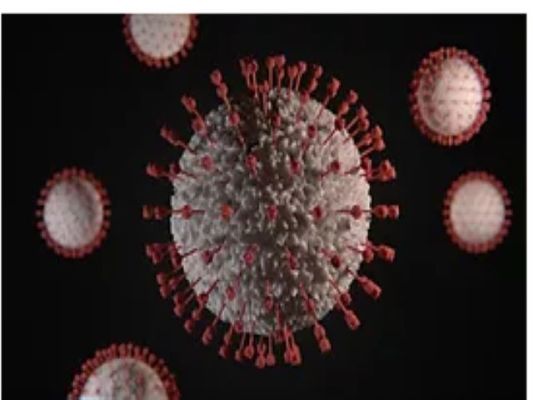 SBT-0704: A Covid-19 Therapeutic Drug Candidate