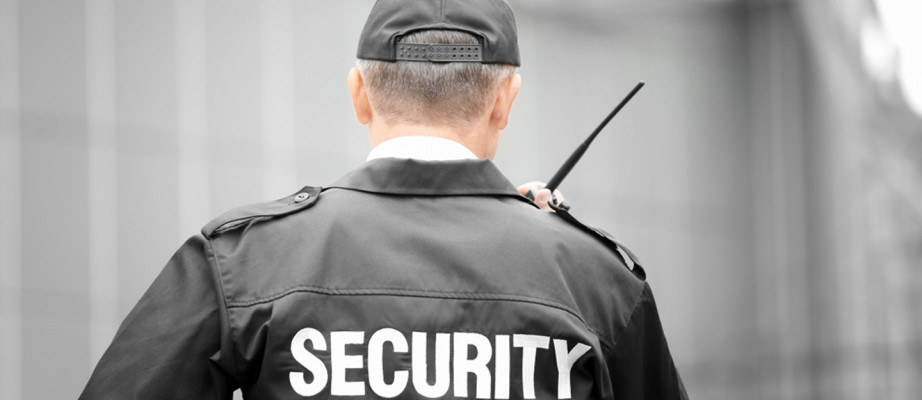 Established and Profitable Security Franchise
