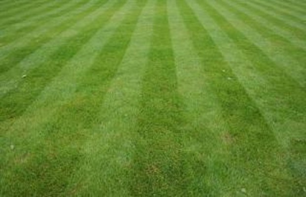 Busy Landscaping Company for Sale in NY