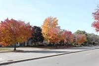 Richfield MN Dental Practice for Sale