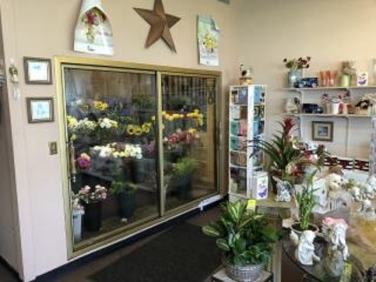 Established Flowershop in CT