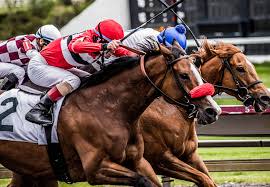 Betting App / License