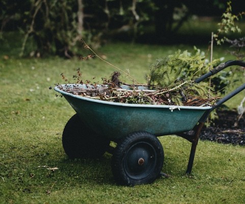 Landscape Service Company for Sale in NY