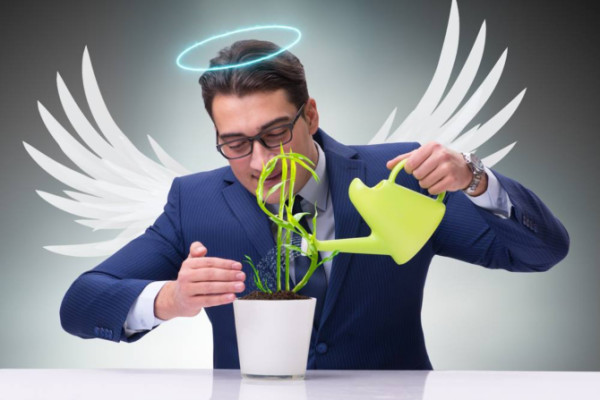 Unicorn Tech Company Investment Opportunity (USA)