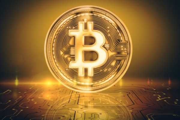 Bitcoin Cryptocurrency Automated Website Business