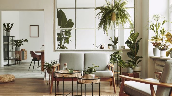 Profitable Residential Staging Company