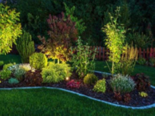 Landscape Company w/Focus on Lighting & Irrigation