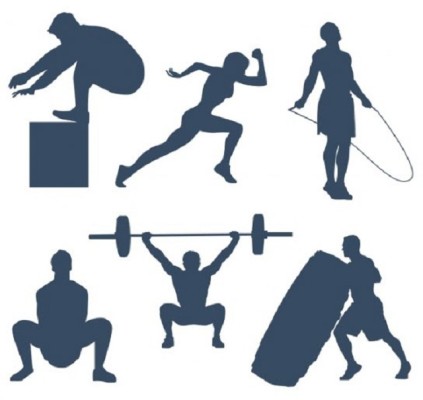 Strength, Fitness, Martial Arts Gym