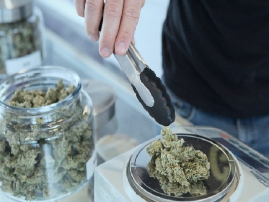 Medical Marijuana Consulting Network