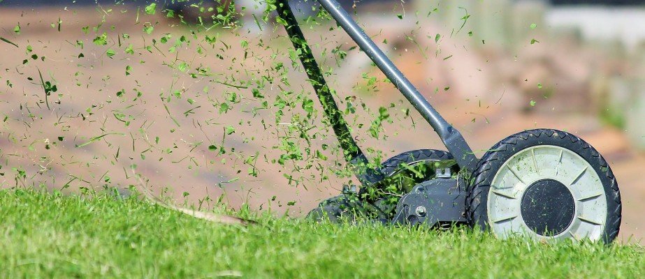 Maintenance Landscape Company With Contracts