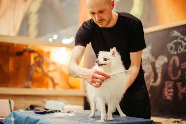 Highly-Rated Pet Store and Grooming Center