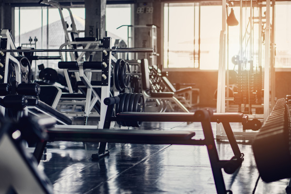 Sporting Goods & Equipment Retailer