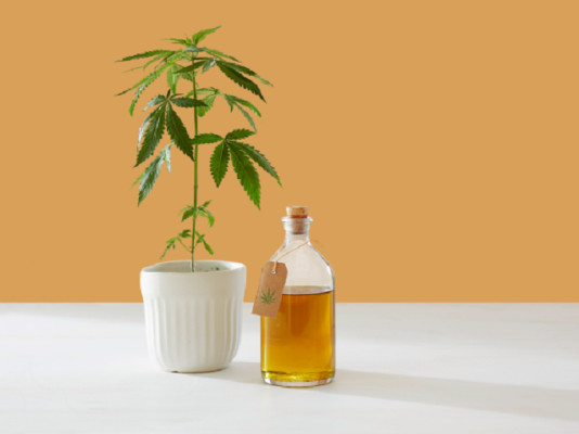 CBD Company w/Creams, Gels, Liquids & Capsules