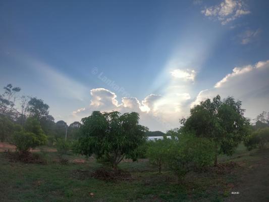 Land for Sale Dambulla (Sri Lanka)