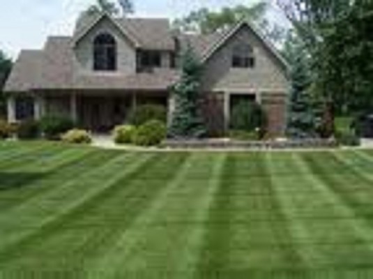 Lawn Maintenance Company South Sound