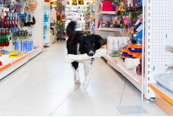 Pet Store Franchise in Okanagan Under Offer