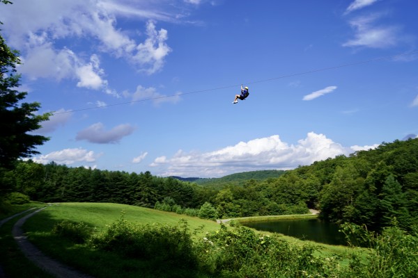 Zipline Business and 80+ Acres for Sale w/Home