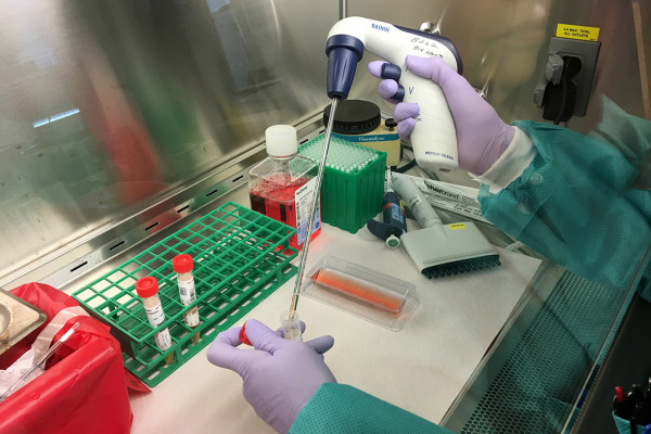 Latin-America Medical Testing Laboratory