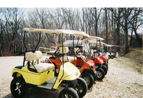 Golf Cart Customizing Service and Repair Business