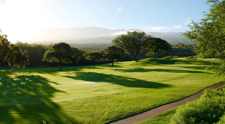 Under Contract - Golf Cart Manufacturer & Sales