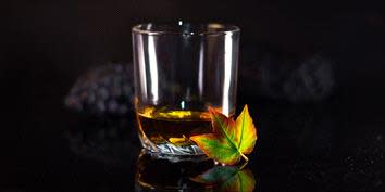 Well Established Micro Distillery