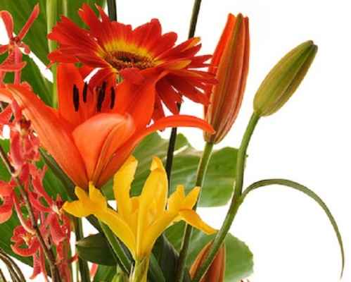 Beautiful Gift and Flower Shop