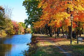 Dental Practice for Sale Near Willow Grove, PA