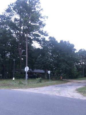 Real Estate Opportunity in South Carolina