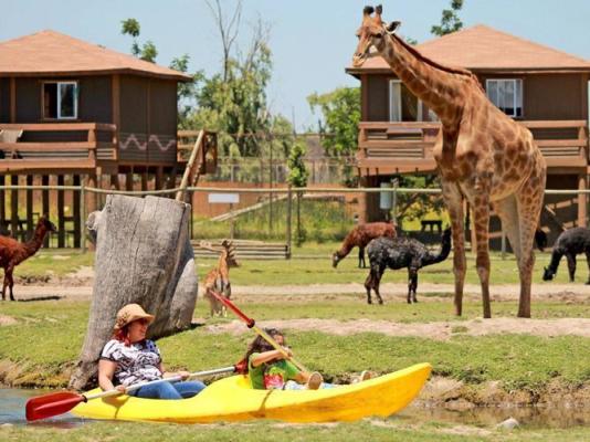 Chile Safari Park