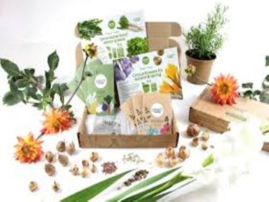 Popular, Profitable Growers Supply center